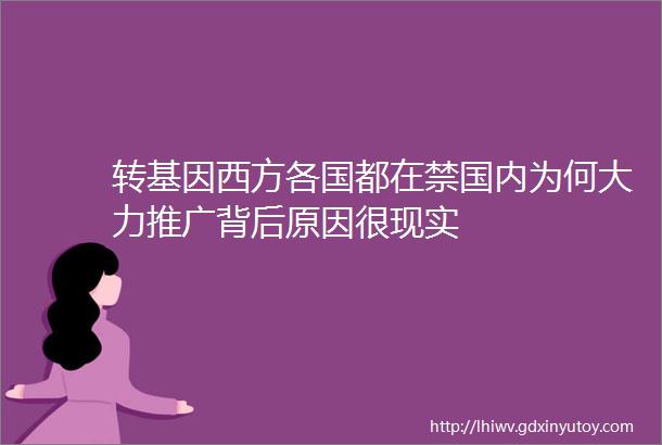 转基因西方各国都在禁国内为何大力推广背后原因很现实